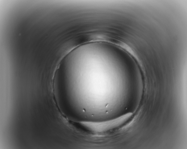 X0000088721145200706071615