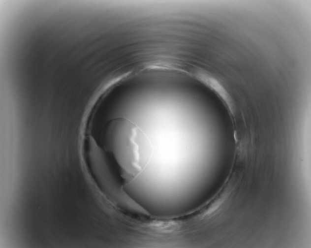 X0000088721146200706071615