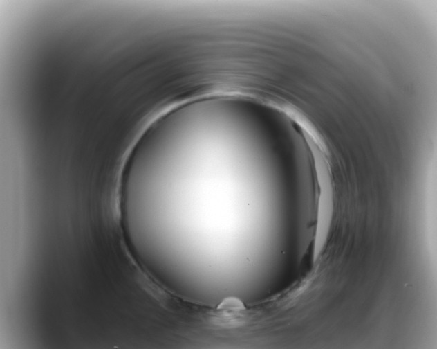 X0000088721148200706071615