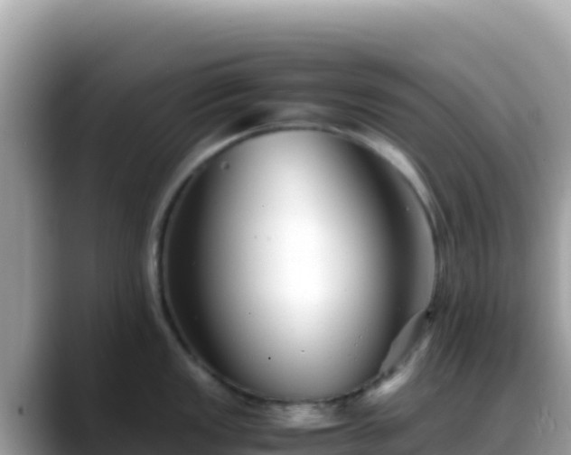 X0000088721149200706071615