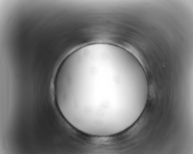 X0000088721150200706071615
