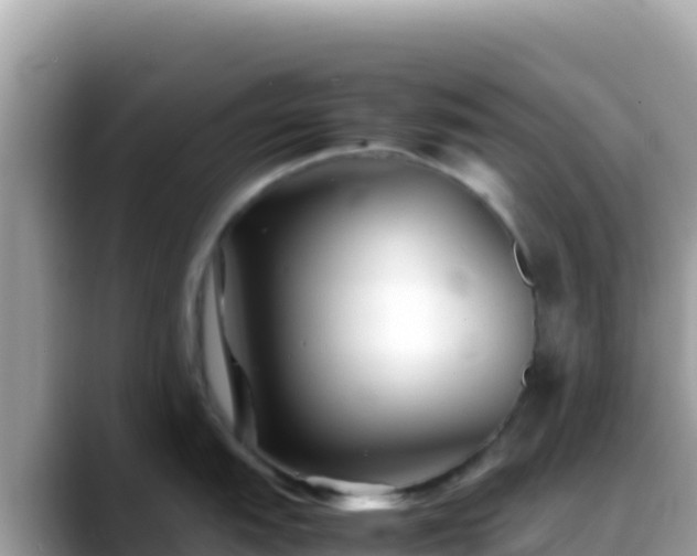 X0000088721151200706071615