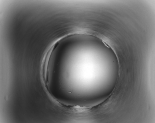 X0000088721152200706071615