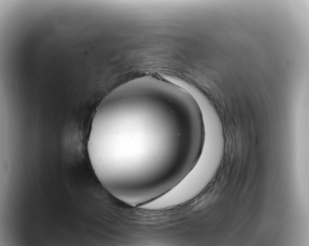 X0000088721156200706071614