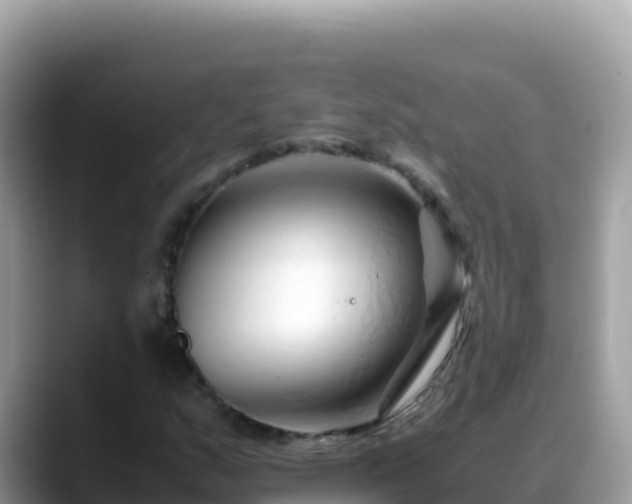 X0000088721159200706071614