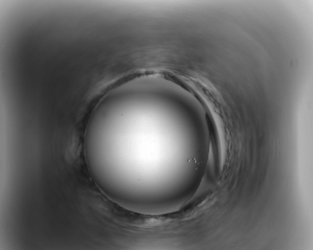 X0000088721160200706071614