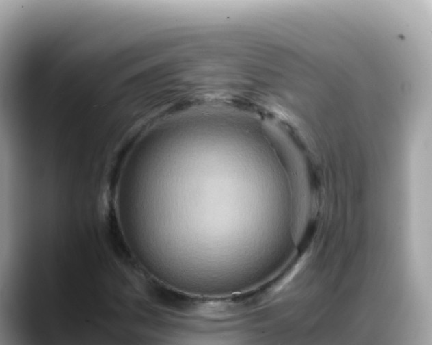 X0000088721161200706071614