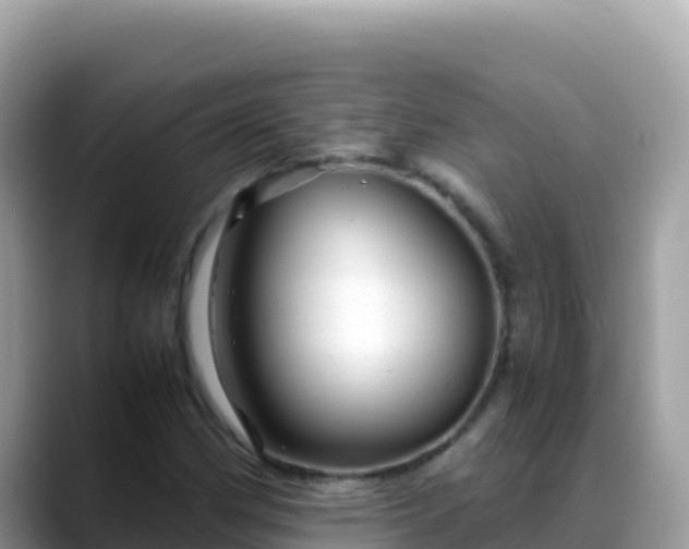 X0000088721162200706071614