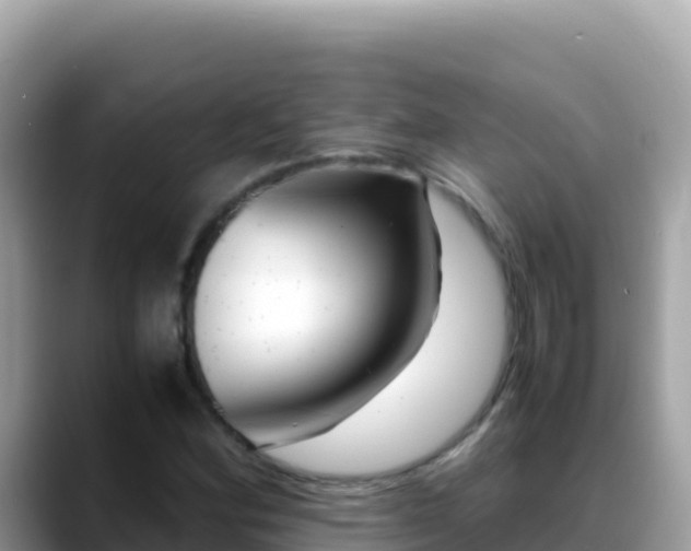 X0000088721164200706071614
