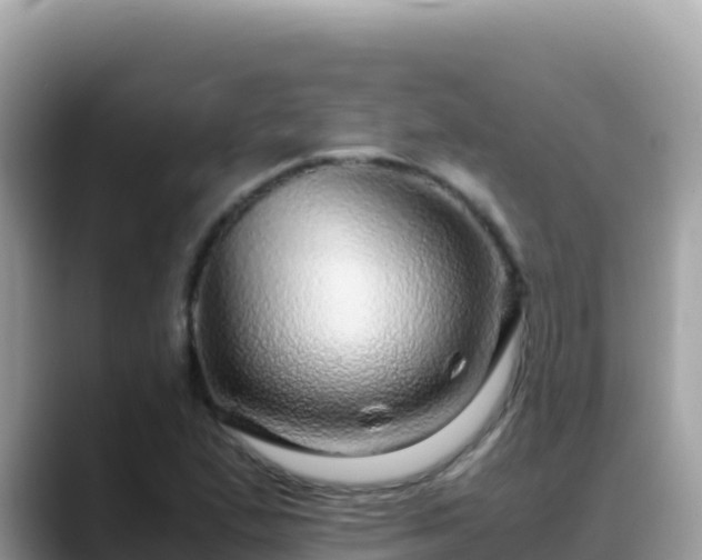 X0000088721167200706071614