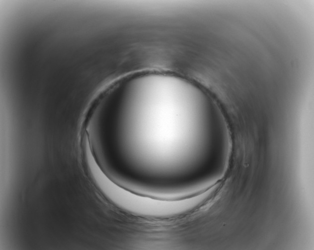 X0000088721168200706071614