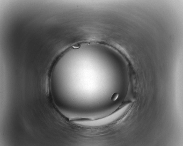 X0000088721171200706071614