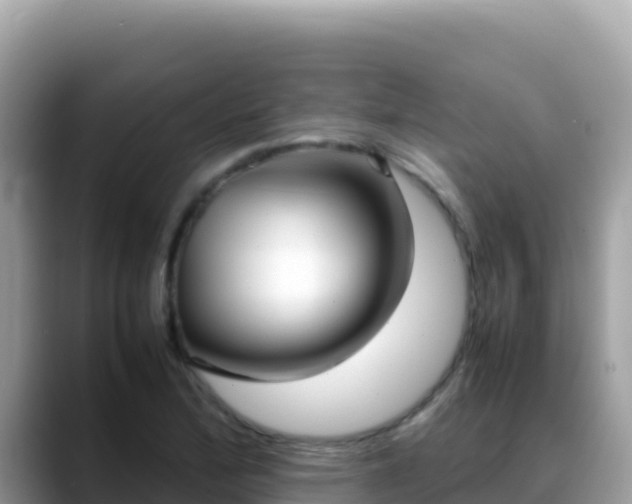 X0000088721172200706071614