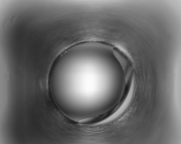 X0000088721173200706071614