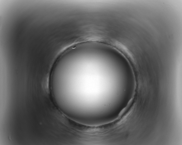 X0000088721174200706071614