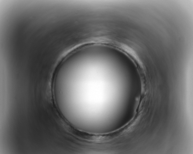X0000088721176200706071614