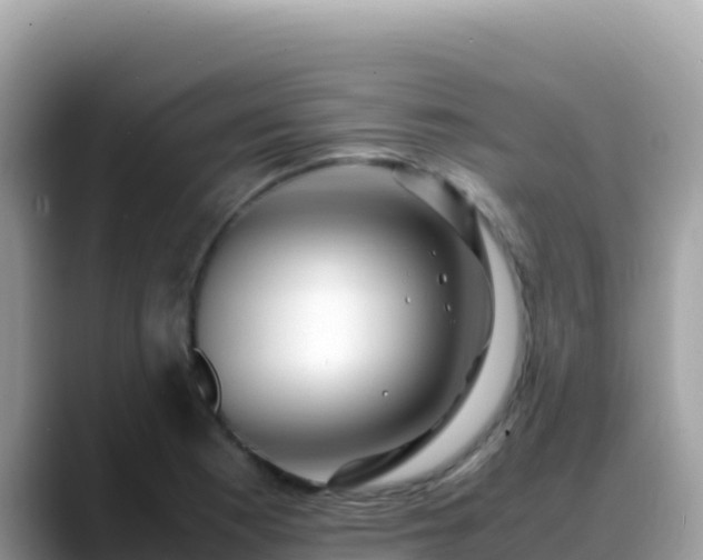 X0000088721177200706071614