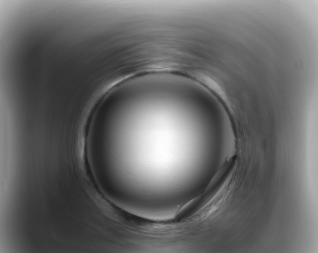 X0000088721179200706071614