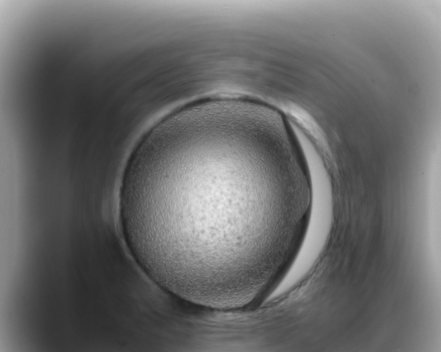 X0000088721183200706071614