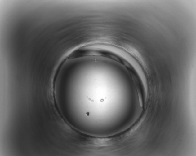 X0000088721184200706071614