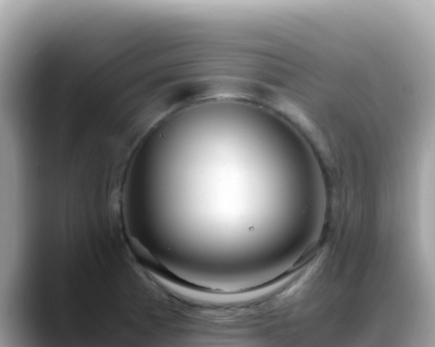 X0000088721185200706071614