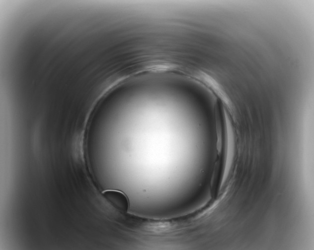 X0000088721186200706071614