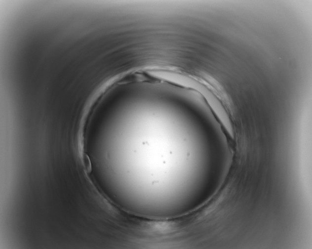 X0000088721188200706071614
