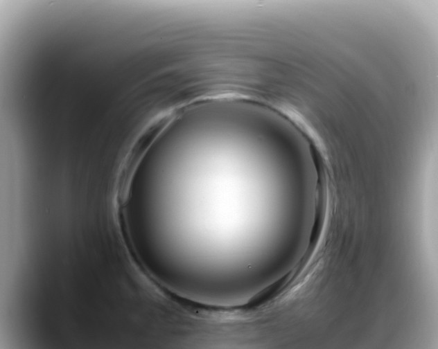 X0000088721189200706071614