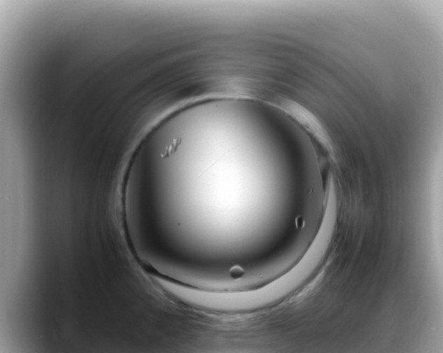 X0000088721192200706071613
