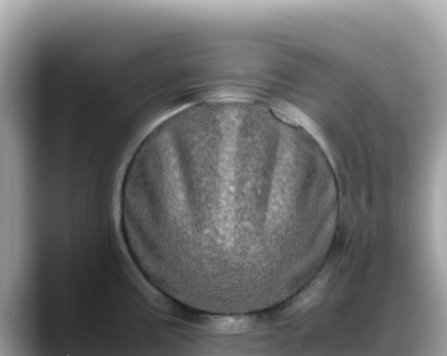 X0000088721195200706071613