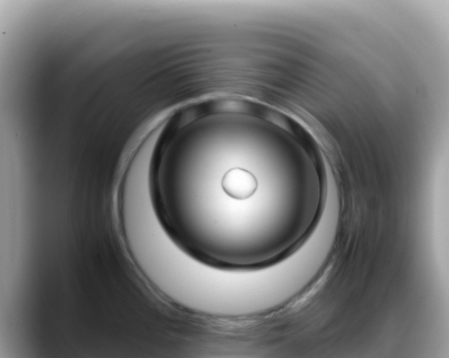 X0000088721196200706071613