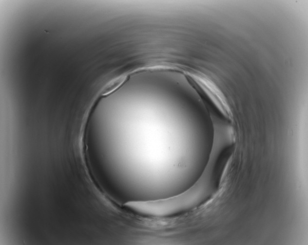 X0000088721197200706071613