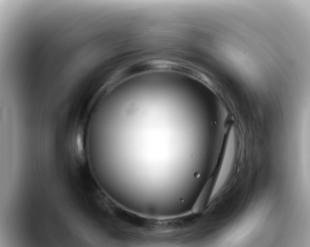 X0000088721198200706071613