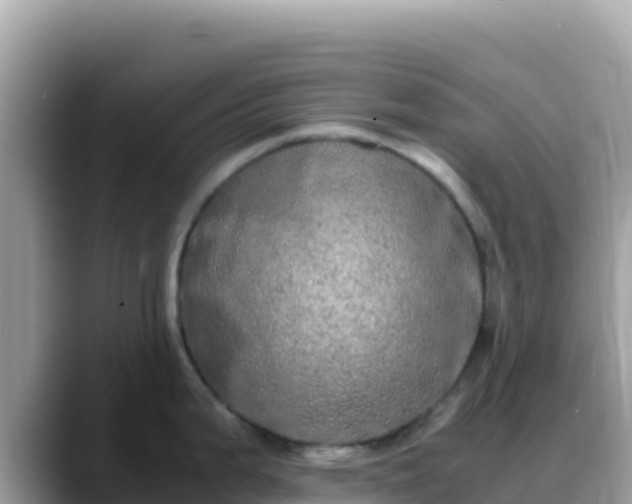 X0000088721199200706071613