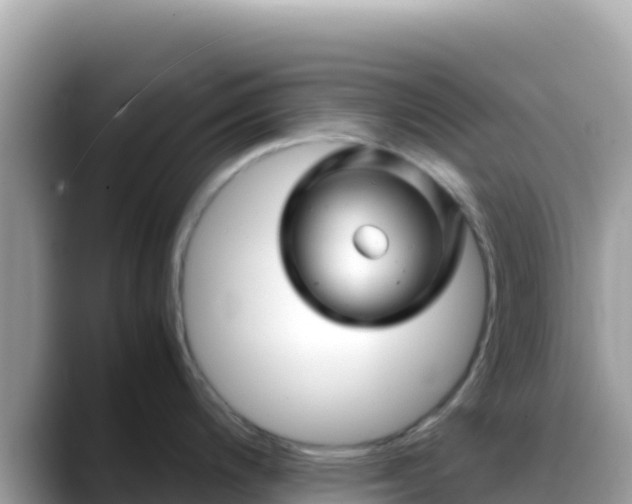 X0000088721200200706071613