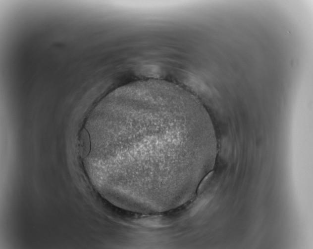 X0000088721201200706071613