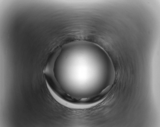 X0000088721202200706071613