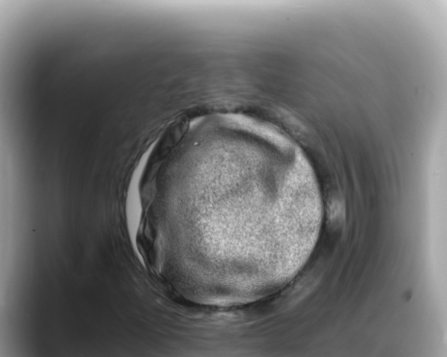 X0000088721204200706071613
