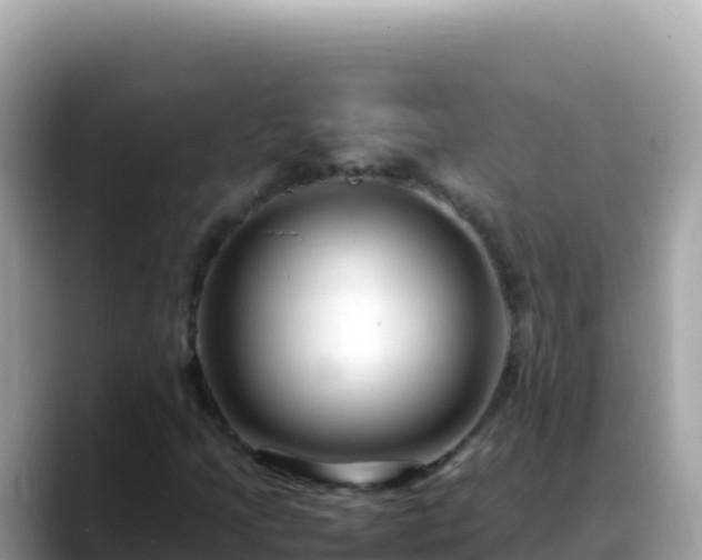 X0000088721205200706071613