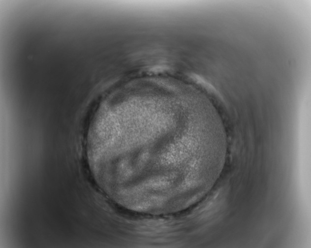 X0000088721207200706071613