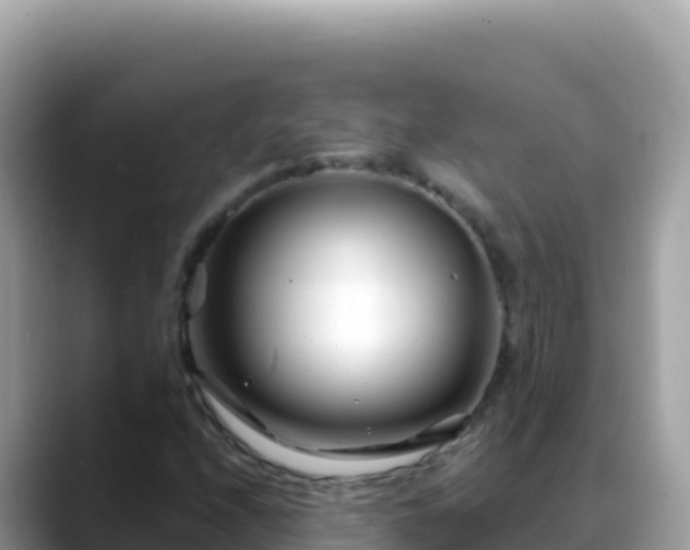 X0000088721208200706071613