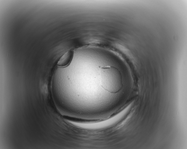 X0000088721209200706071613