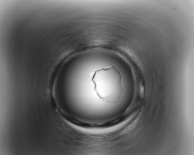 X0000088721210200706071613