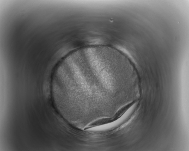 X0000088721211200706071613