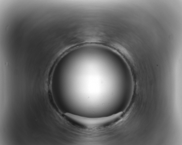 X0000088721212200706071613