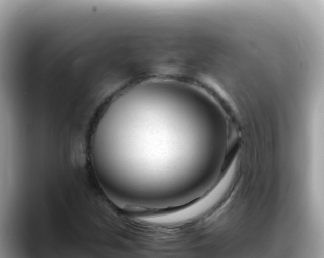 X0000088721213200706071613
