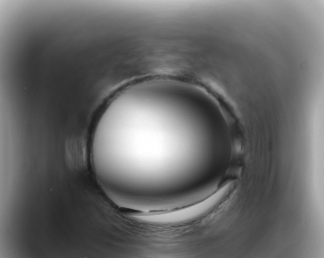 X0000088721214200706071613