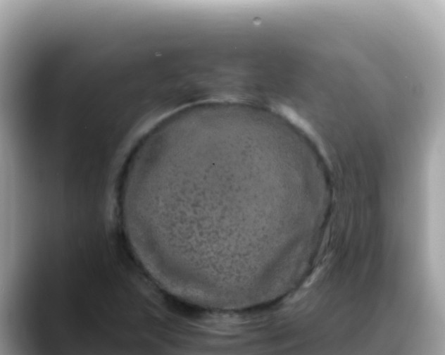 X0000088721215200706071613