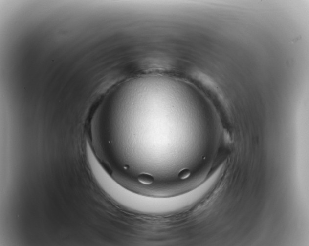 X0000088721217200706071613