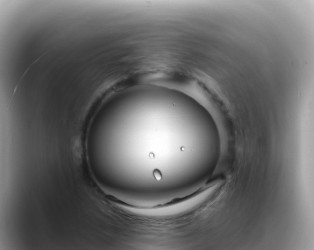 X0000088721218200706071613
